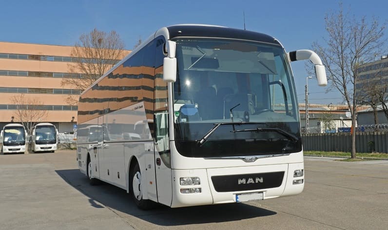 Buses operator in Nagykőrös